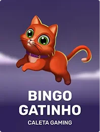 Bingo Gatinho
